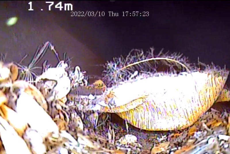 Čistenie VZT Čistenie VZT